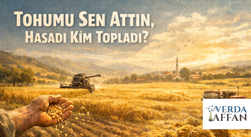 Tohumu Sen Attın, Hasadı Kim Topladı?