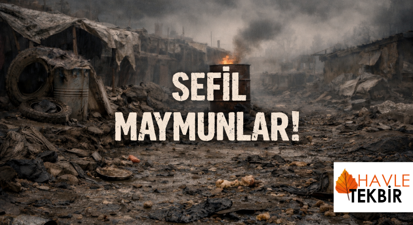 SEFİL MAYMUNLAR!